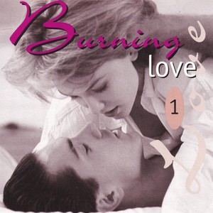 Burning Love, Vol. 1