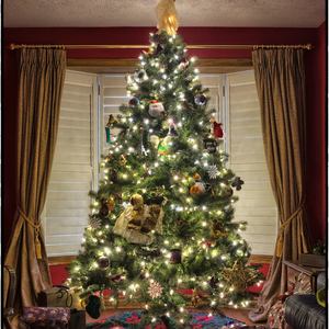 We Wish You a Merry Christmas