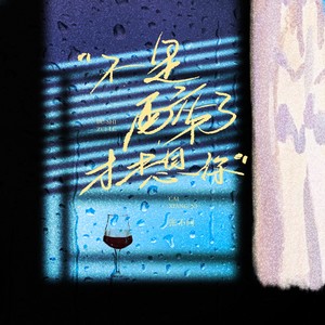 不是醉了才想你 (伴奏)