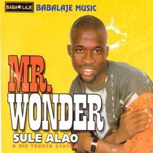 Mr. Wonder