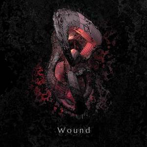 Wound