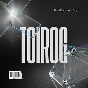 TOIROG (feat. Soyo) (Explicit)