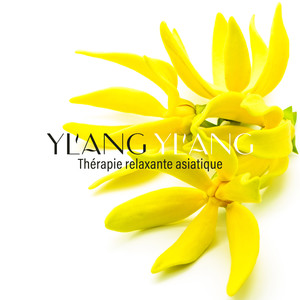 Ylang ylang: Thérapie relaxante asiatique, Spa, yoga, pleine conscience