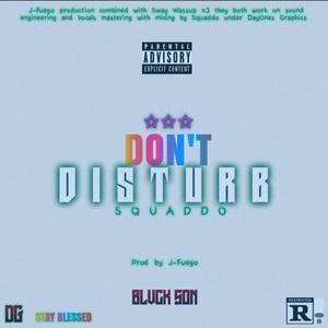 Don't Disturb (Interlude) (Explicit)