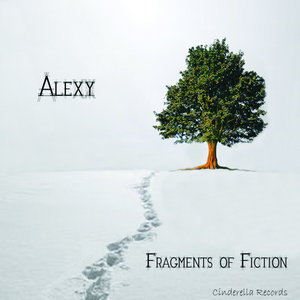 Fragments of Fiction