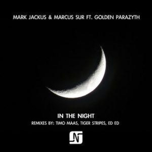 In The Night (Original Mix)