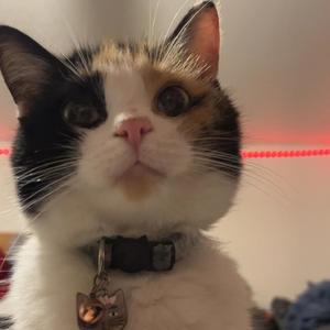 ridiculous (Explicit)