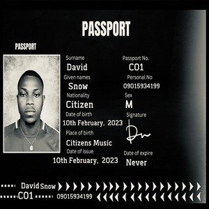 Citizenship (Explicit)