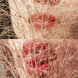 刺青与花蛇 (Inst.)