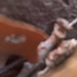 CUZ IDK (feat. LIL_VORTEX) (Explicit)