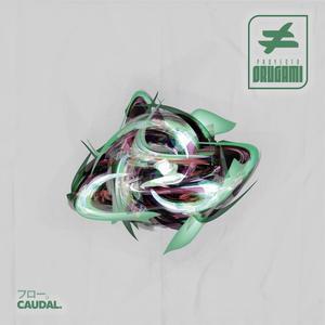 Caudal (Explicit)