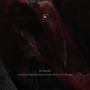 Echoes in the Dark (A X L Remix)