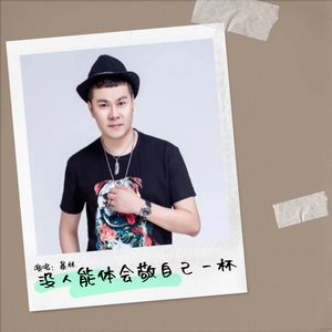 暴林 - 没人能体会敬自己一杯