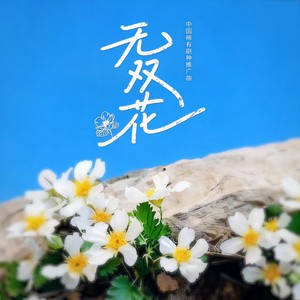 无双花 (广场舞版)