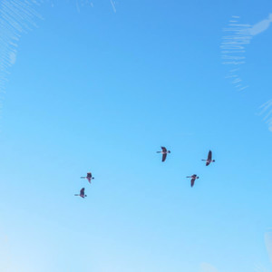 最爱的人伤我最深