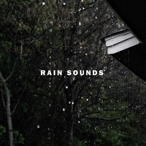Rain Sounds at night