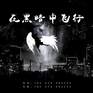 在黑暗中飞行（Flying in the Dark）