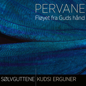 Pervane / Sommerfugl