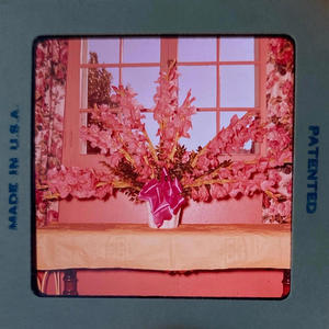 Parlor Trick (Explicit)