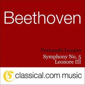 Ludwig Van Beethoven, Piano Trio No. 4 In D, Op. 70 No. 1 (Ghost)