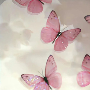 The Rhythm of the Night