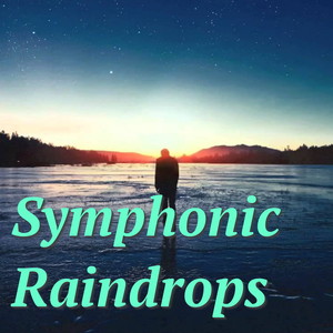 Symphony No. 2, Op 27 - IV