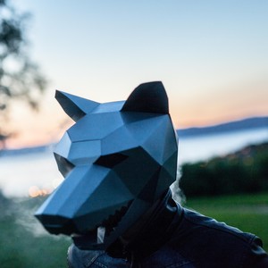 Nightwolves(feat. Robin Rick)