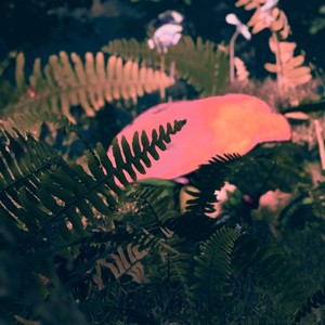 Peace sign (with Ebony Loren)