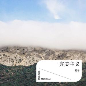 完美主义封面