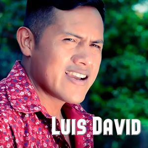 La Melodía de Su Voz