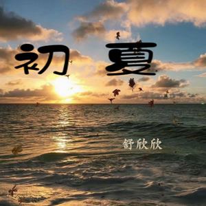 简单与初夏 (DJ版)