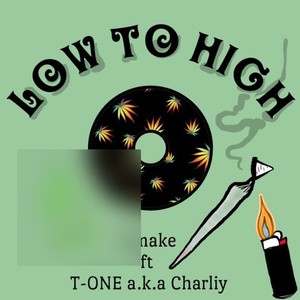 LOW to HIGH (feat. R make)