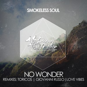 No Wonder (Love Vibes Remix)
