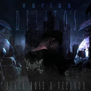 Varios Delitos(feat. Black rose DDR)
