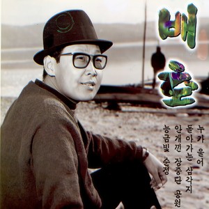 안개낀 장충단공원 (飘着雾的长忠团公园)