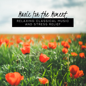 Music for The Moment: Relaxing Classical Music and Stress Relief