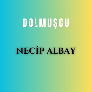 Dolmuşcu