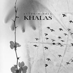 Khalas (feat. AliZA) [Explicit]