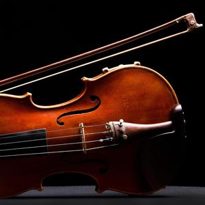 String Quartet in C# minor