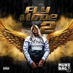 Fly Mode, Vol. 2 (Explicit)