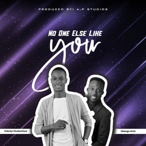 NO ONE ELSE LIKE YOU(feat. GBENGA ALVIN)