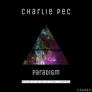 Paradigm (Christian Martinec Remix)