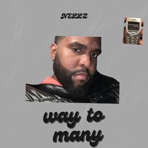 Way To Many (Explicit)