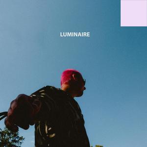 Luminaire