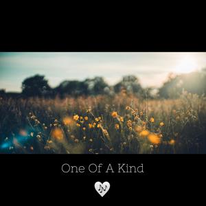 One Of A Kind
