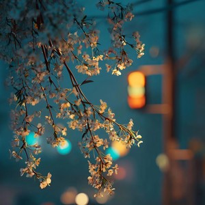 等下一个天亮（去上次牵手赏花那里散步好吗）