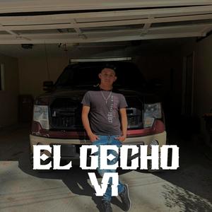 El gecho v1 (Explicit)