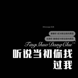 听说当初你找过我 (Remix)