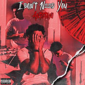 I Don't Need U (Explicit)