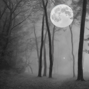 The Whisper of Empty Roads